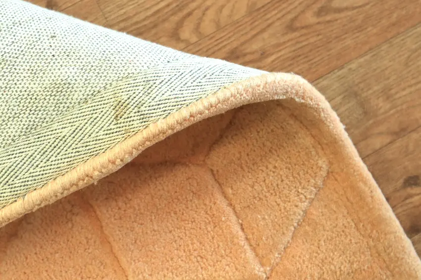 Modern Rug DFS020000 239 x172 H