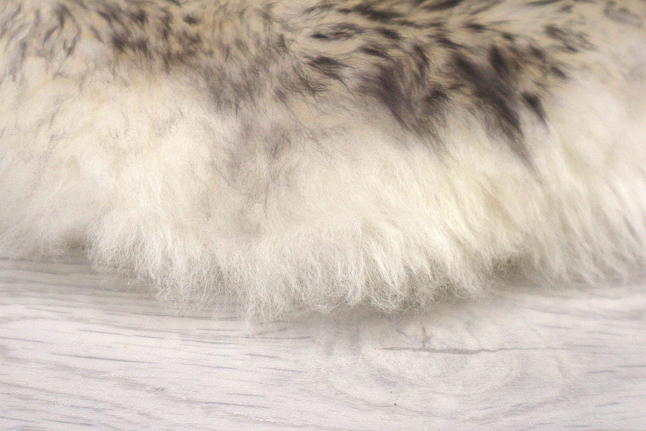 Natural Premium Sheepskin JSK - Grey Tip - 100% British Wool