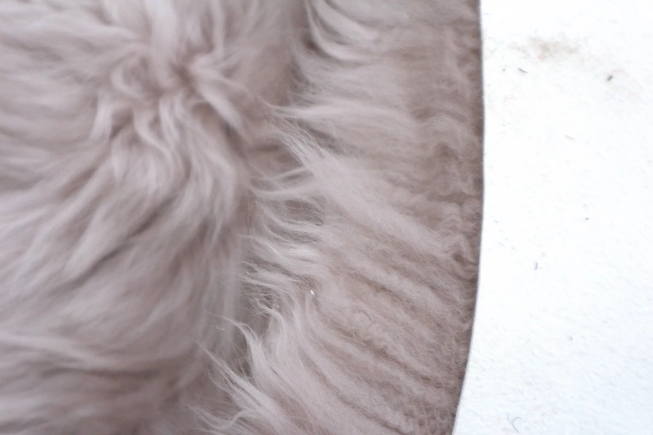 Single Natural Sheepskin JSK - Light Grey - 100% British Wool