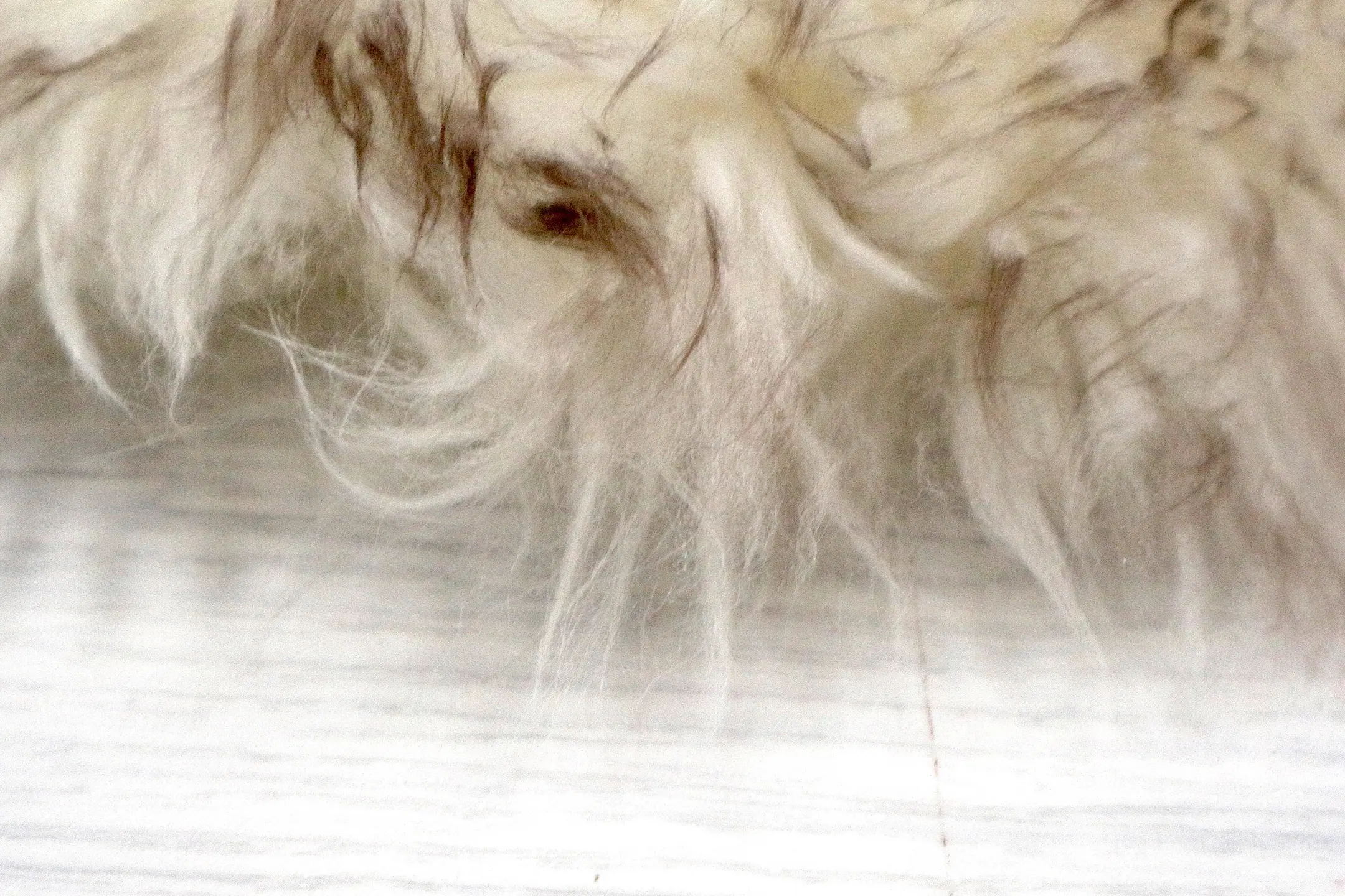 Natural Premium Sheepskin JSK - Light Tan - 100% British Wool