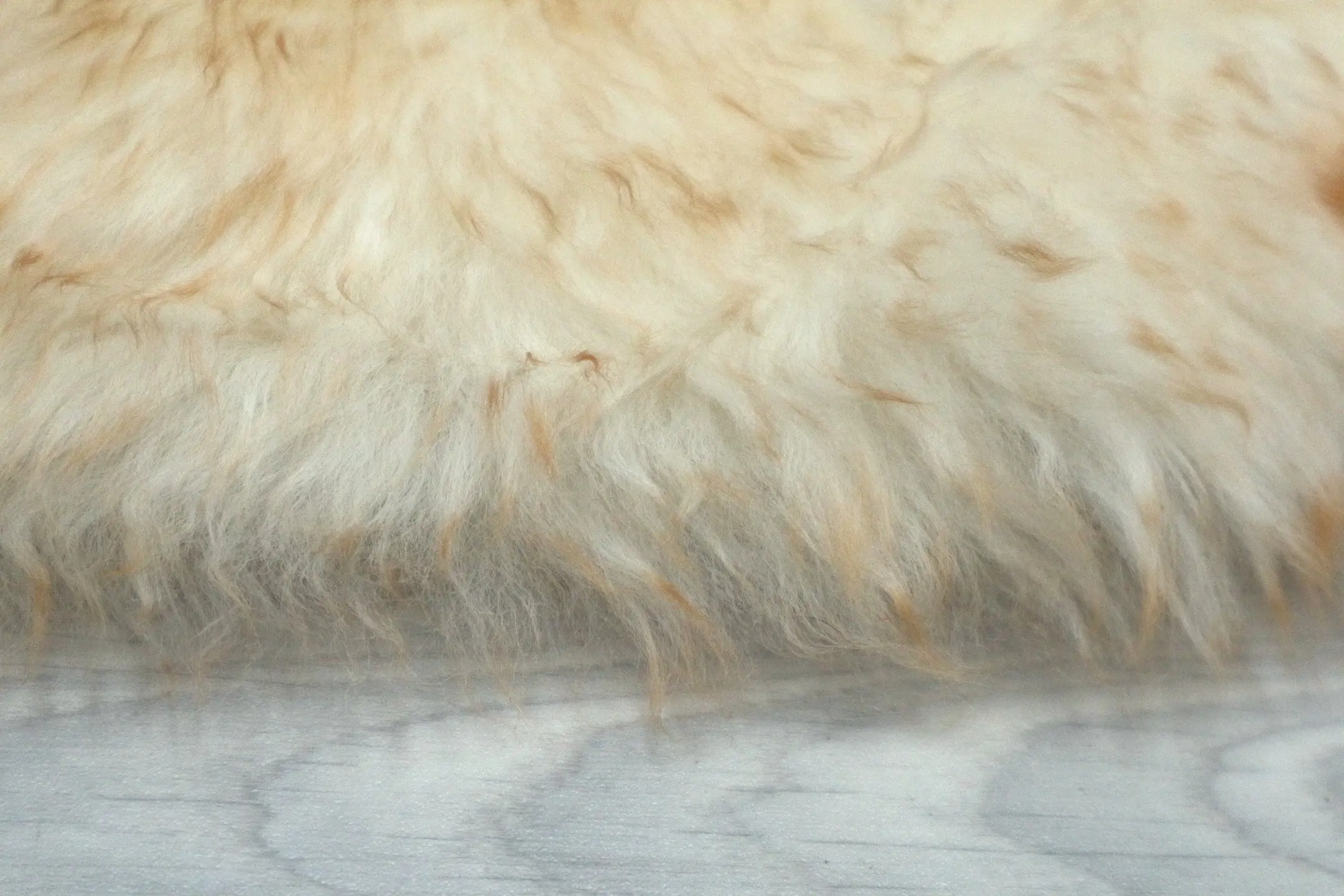 Natural Premium Sheepskin JSK- Blenhiem - 100% British Wool