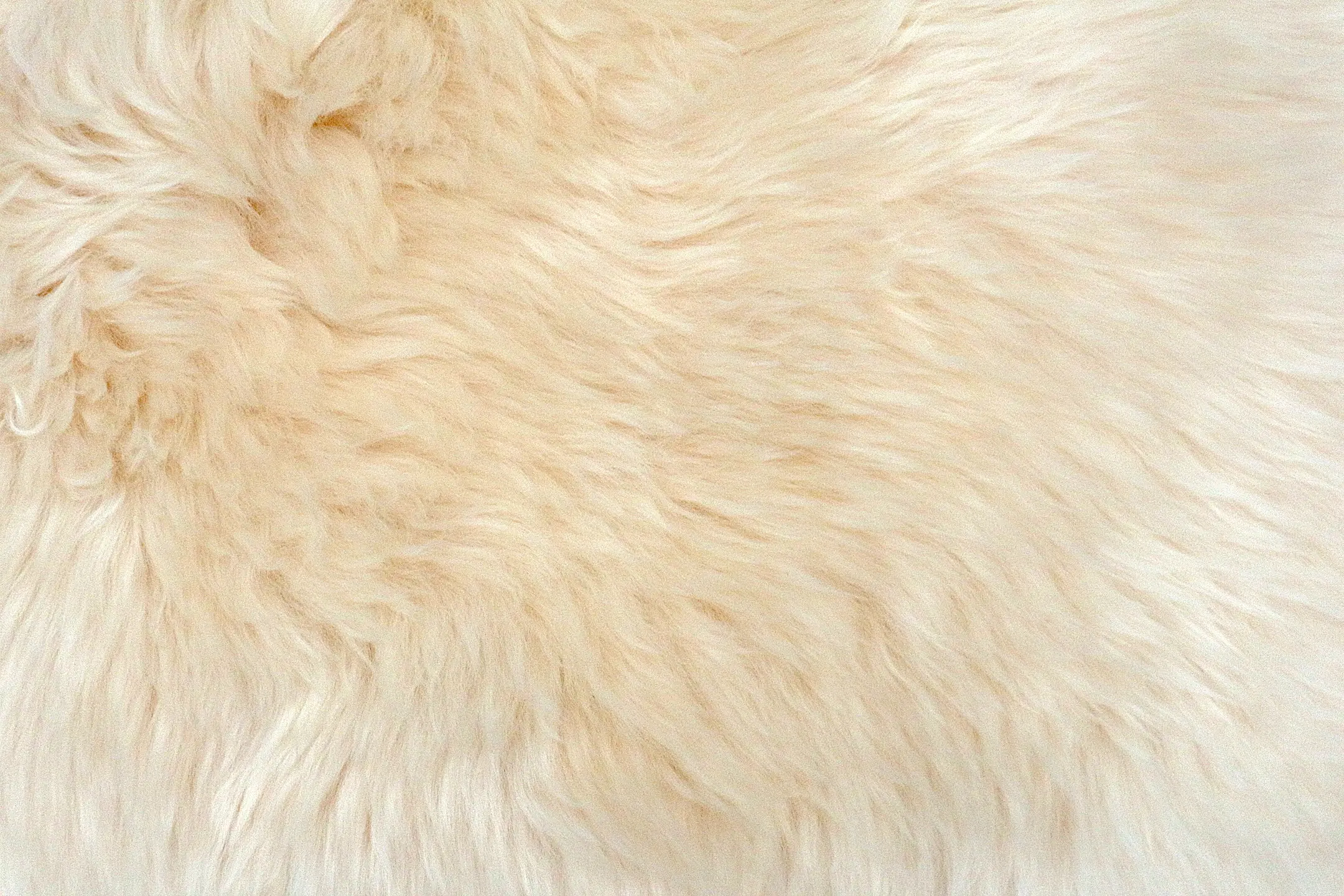 Natural Premium Sheepskin JSK - Cream - 100% British Wool