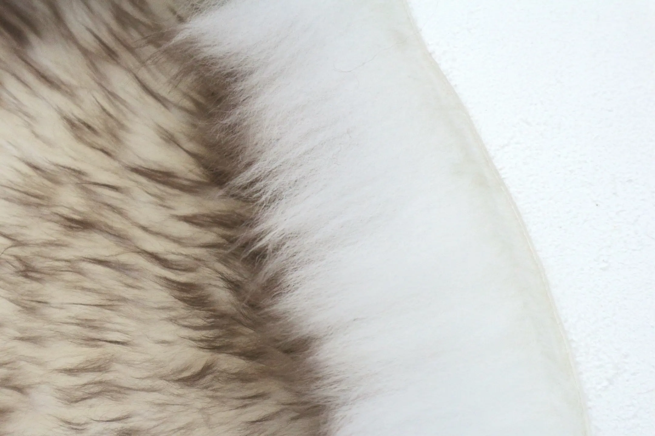 Natural Premium Sheepskin JSK - Light Tan - 100% British Wool