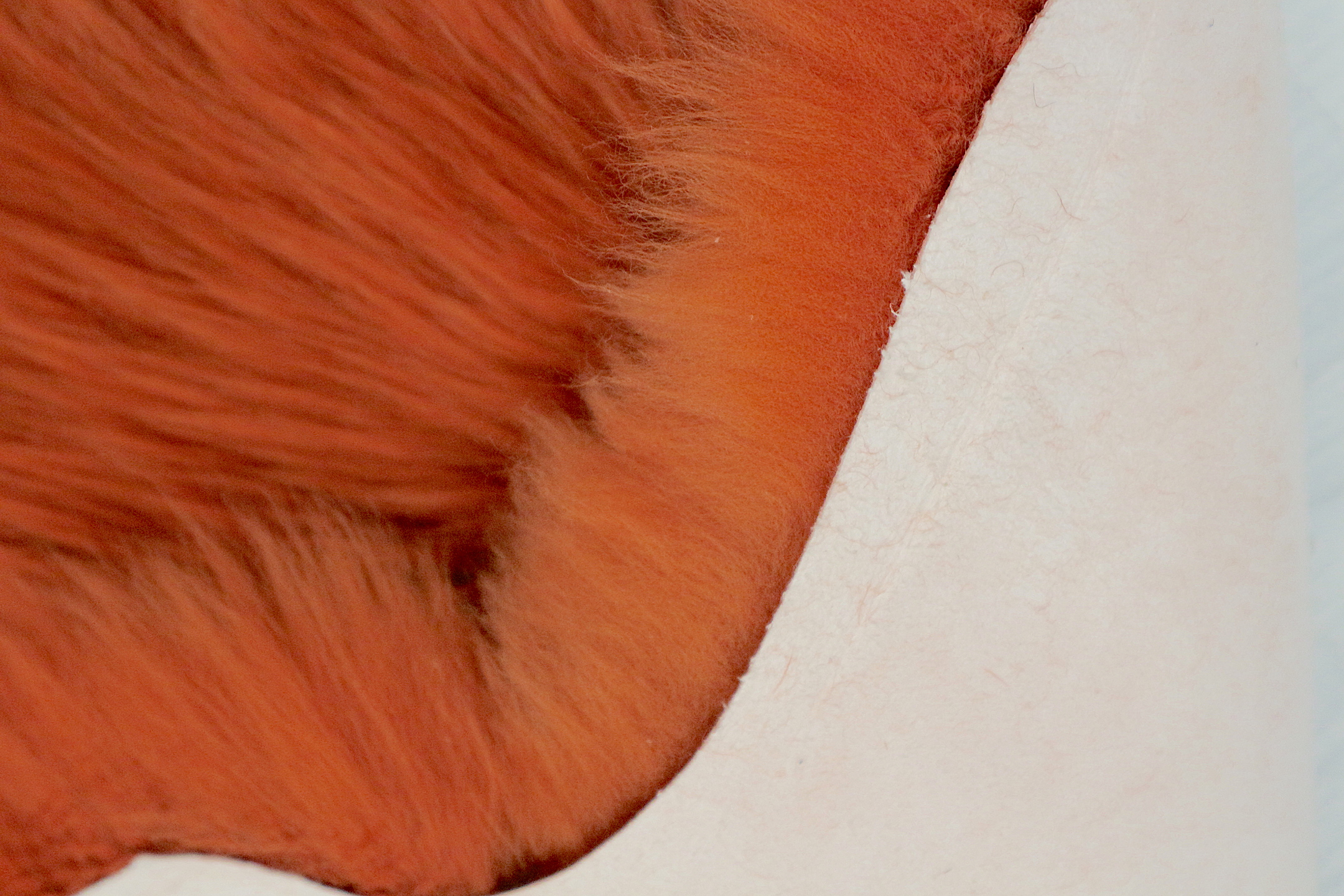 Natural Premium Sheepskin JSK - Sunset - 100% British Wool