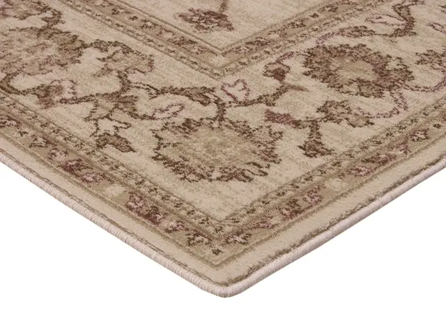 Kashimar woven rug - Cream - Machine woven rug with Traditional design EXP951