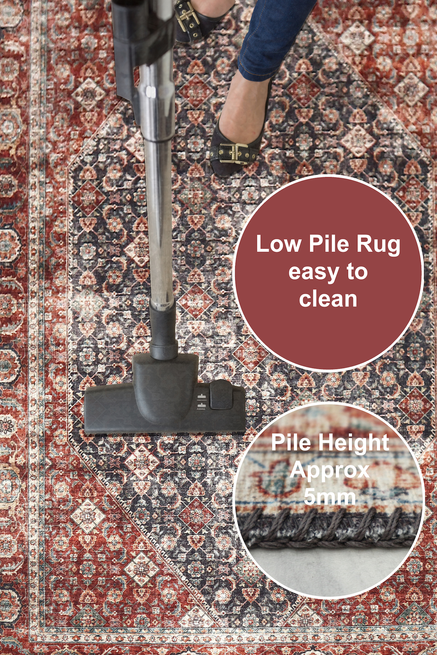 Pippur Printed Rug - Blue and Red - ZDB708