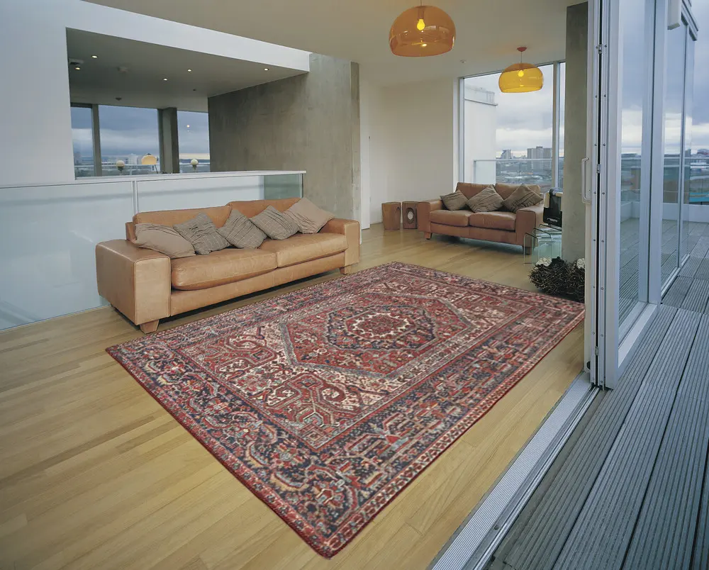 Pippur Printed Rug - Red - ZDB702