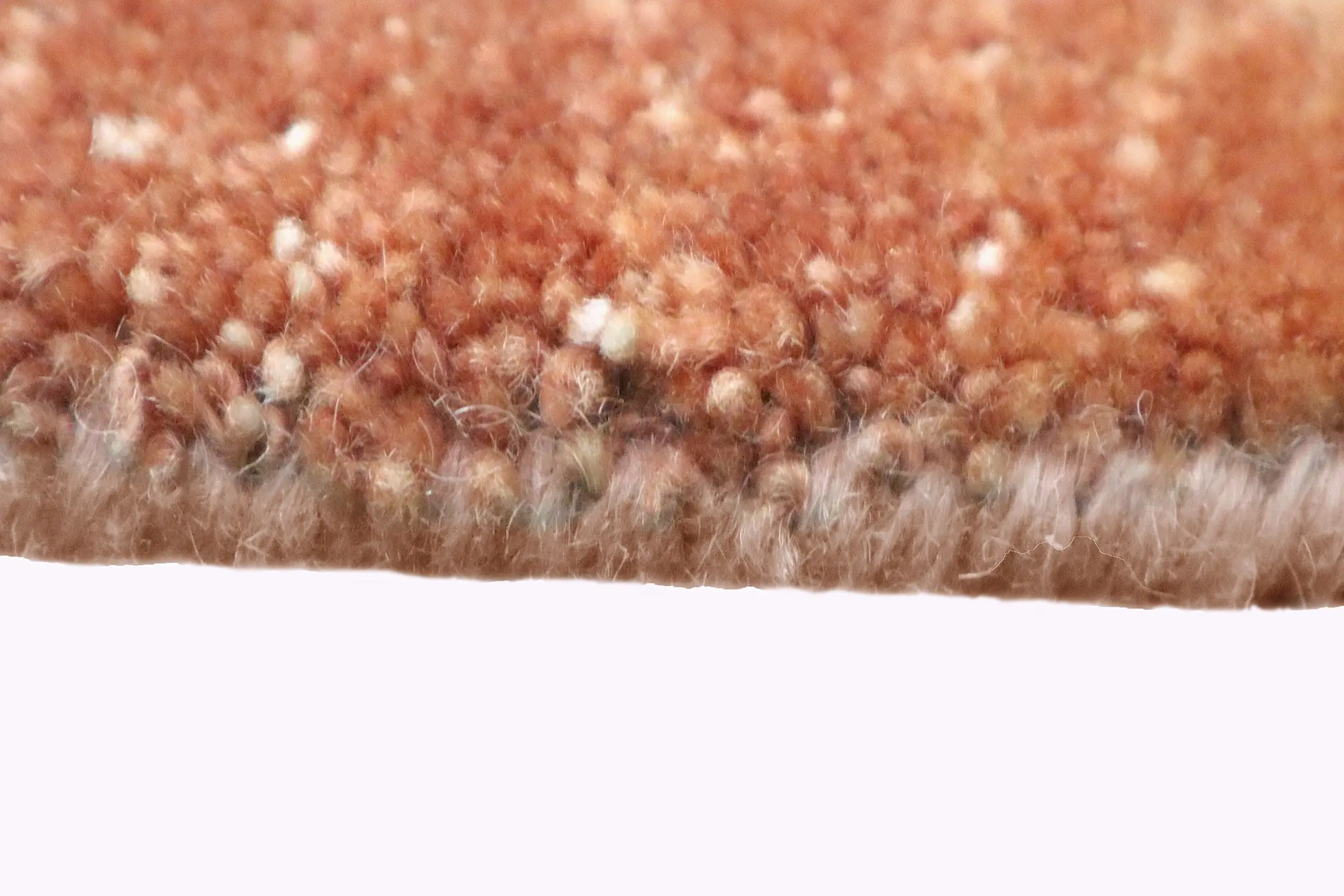 Zeigler Indian Rug IZV035095 545x365