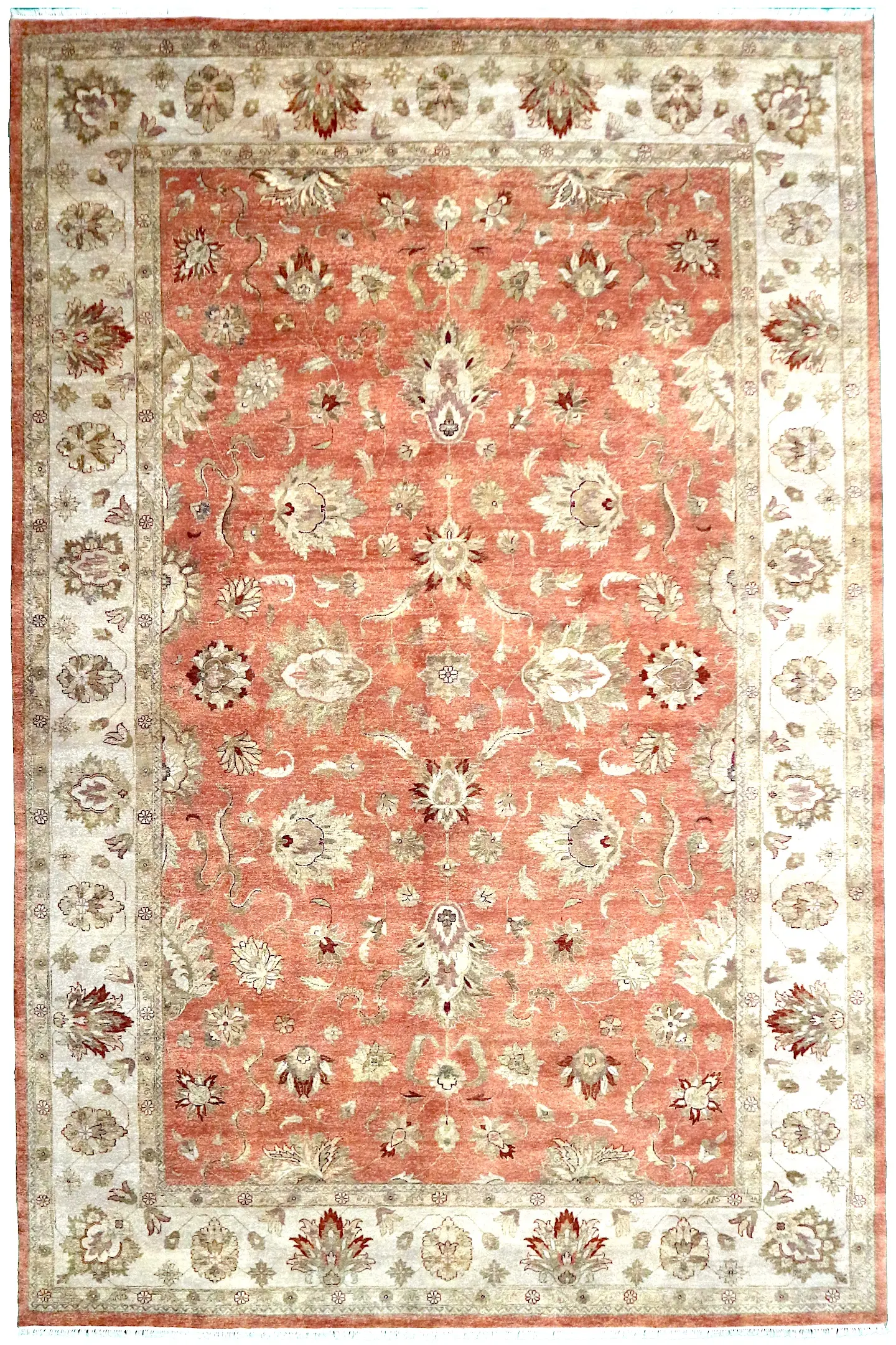 Zeigler Indian Rug IZV035095 545x365